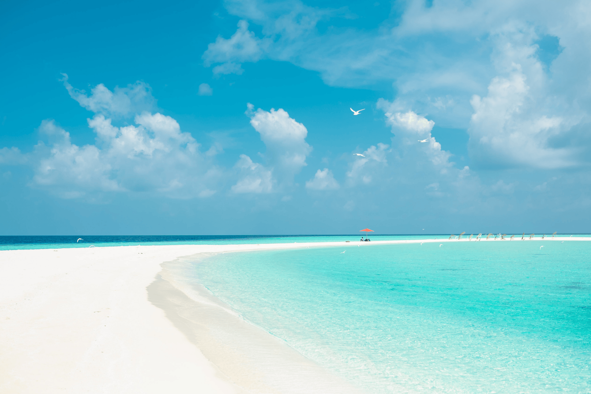 Best eSIM for the Bahamas